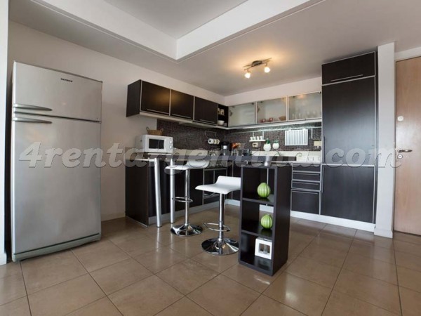 Puerto Madero rent an apartment