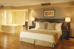 Premium Tower Suites Mendoza Mendoza